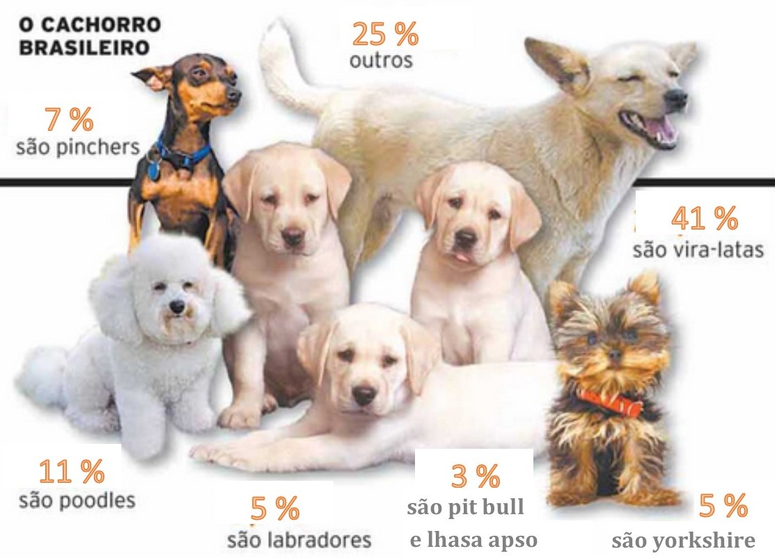 Raças Brasileiras de cães