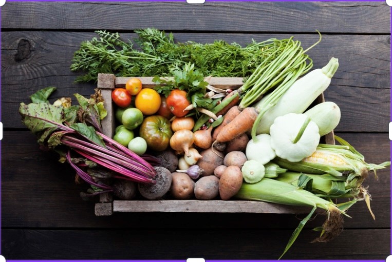 Agricultura Orgânica: Saúde e Sustentabilidade